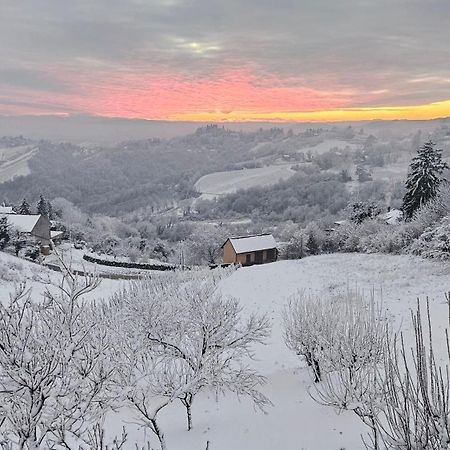 Wine Panorama House Villa Jasztrebarszka Kültér fotó