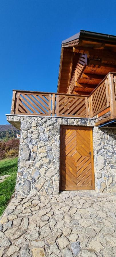 Wine Panorama House Villa Jasztrebarszka Kültér fotó