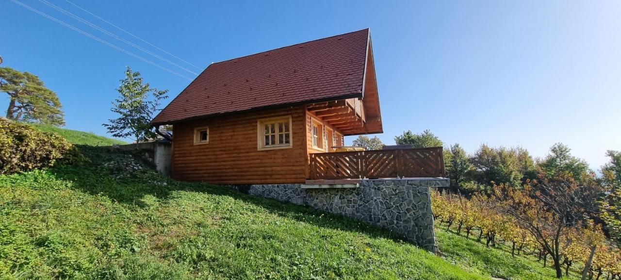 Wine Panorama House Villa Jasztrebarszka Kültér fotó