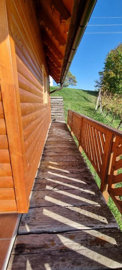 Wine Panorama House Villa Jasztrebarszka Kültér fotó