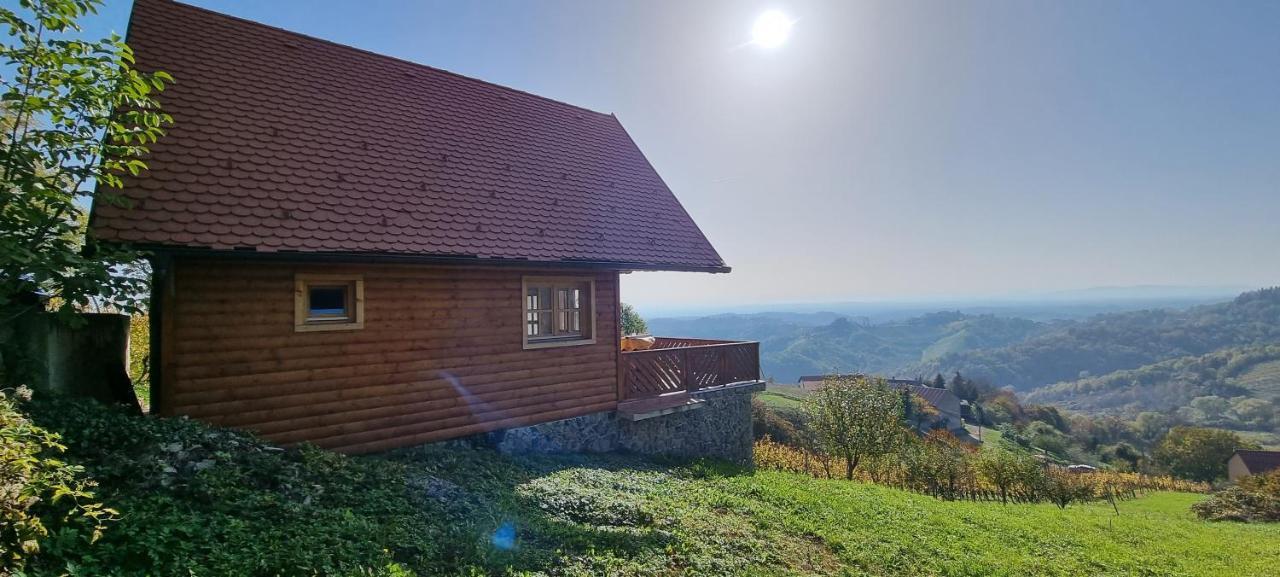 Wine Panorama House Villa Jasztrebarszka Kültér fotó