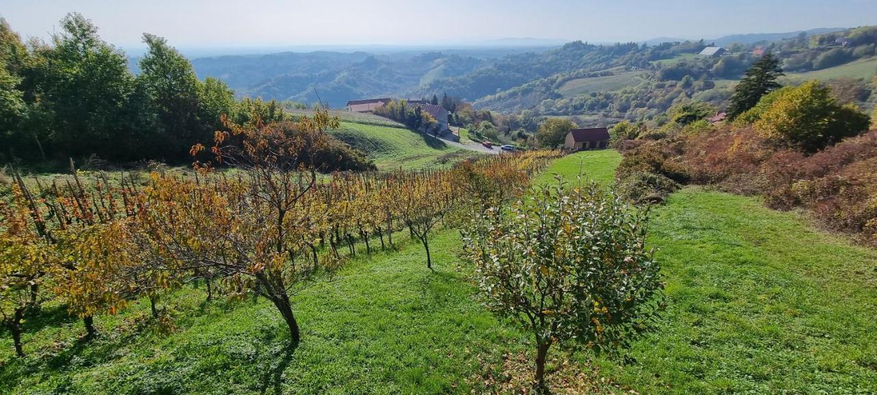 Wine Panorama House Villa Jasztrebarszka Kültér fotó