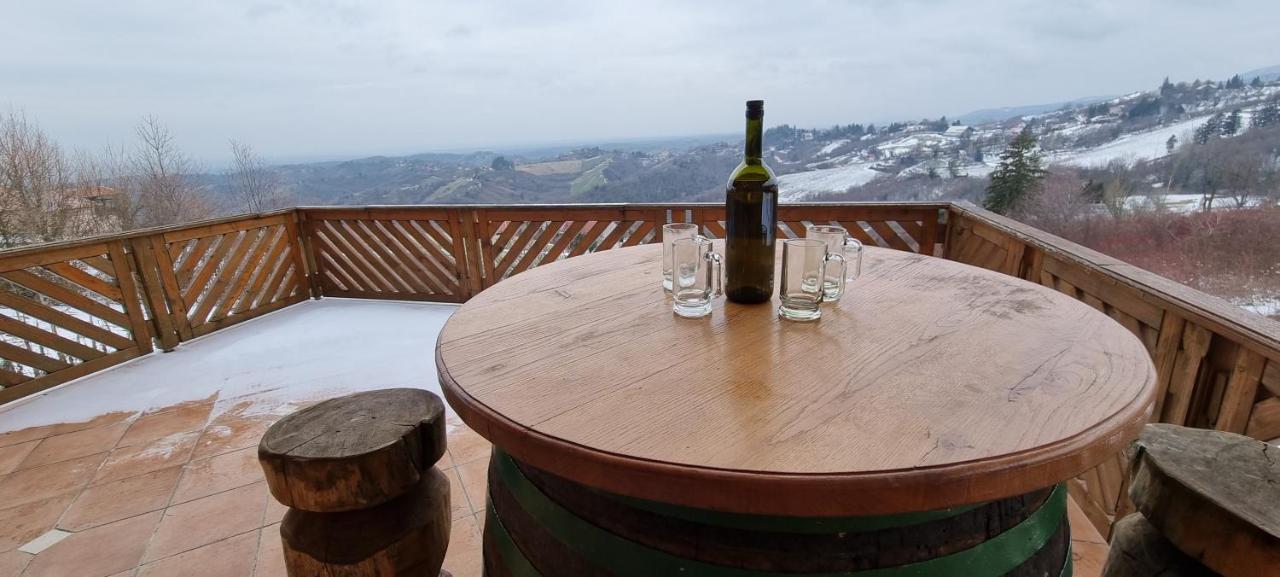 Wine Panorama House Villa Jasztrebarszka Kültér fotó