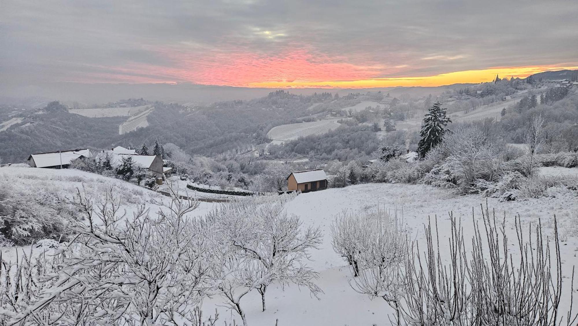Wine Panorama House Villa Jasztrebarszka Kültér fotó